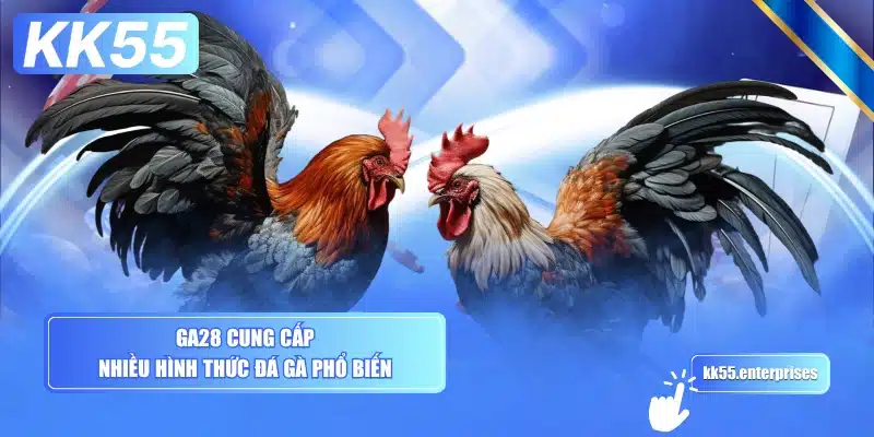 ga28-cung-cap-nhieu-hinh-thuc-da-ga-pho-bien