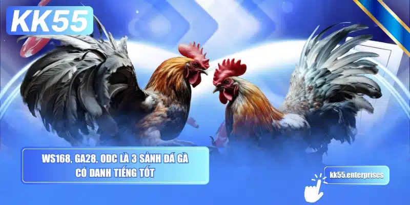 ws168-ga28-odc-la-3-sanh-da-ga-co-danh-tieng-tot